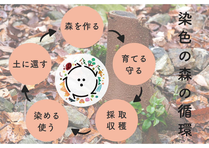 草木染めの刺し子糸10色セット|けせら工房