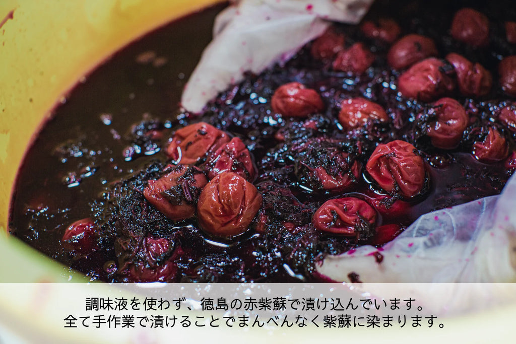 梅と紫蘇｜梅ボーイズ｜和歌山県みなべ町 – TURNS商店｜地域とつながる