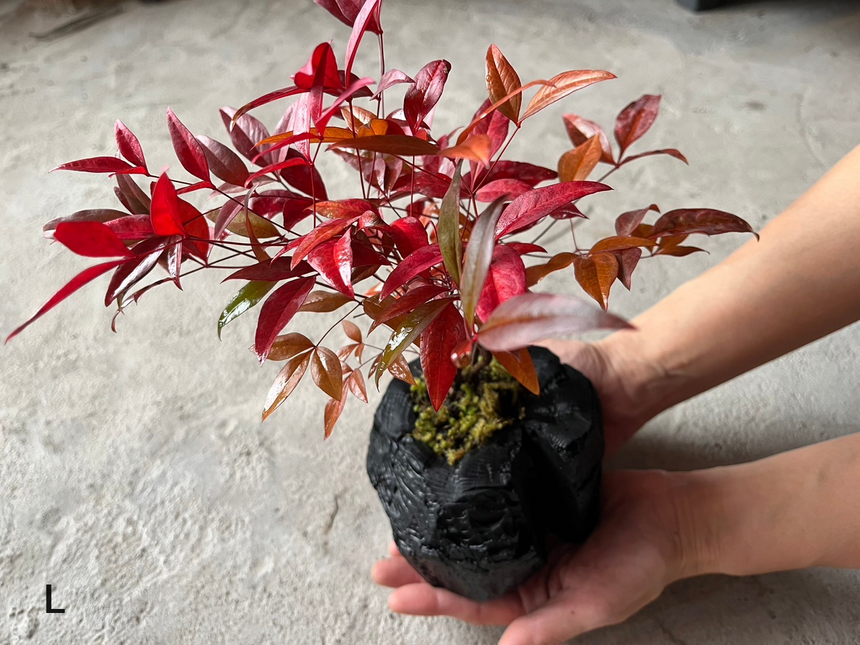 炭盆|GreenGiftOutdoorsNagano|長野県長野市信級