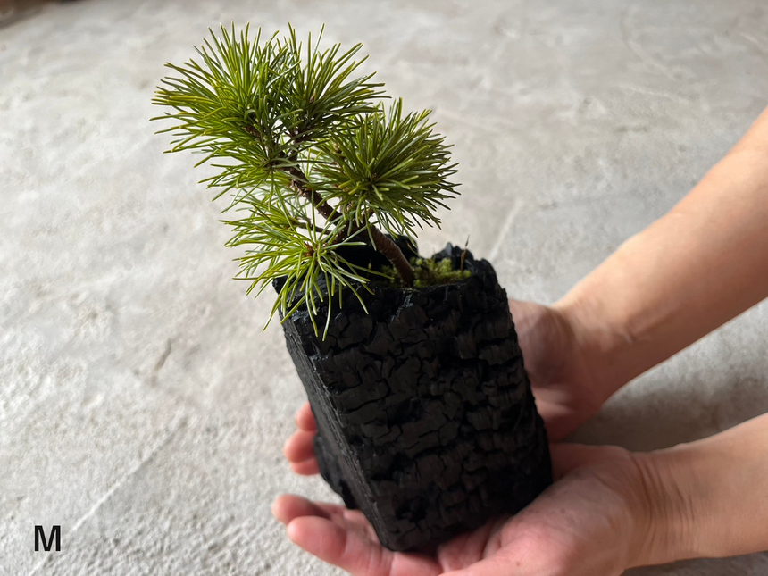 炭盆|GreenGiftOutdoorsNagano|長野県長野市信級