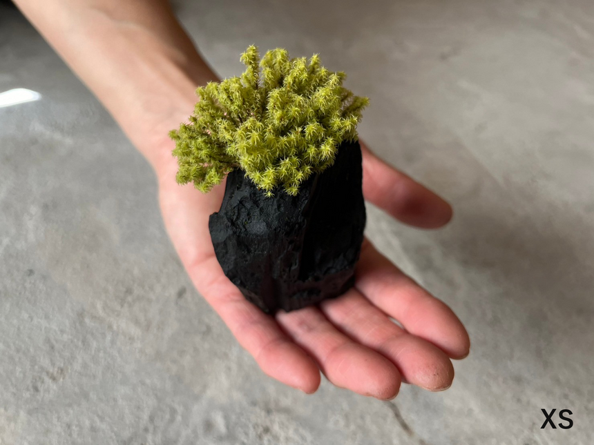 炭盆|GreenGiftOutdoorsNagano|長野県長野市信級