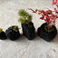 炭盆|GreenGiftOutdoorsNagano|長野県長野市信級
