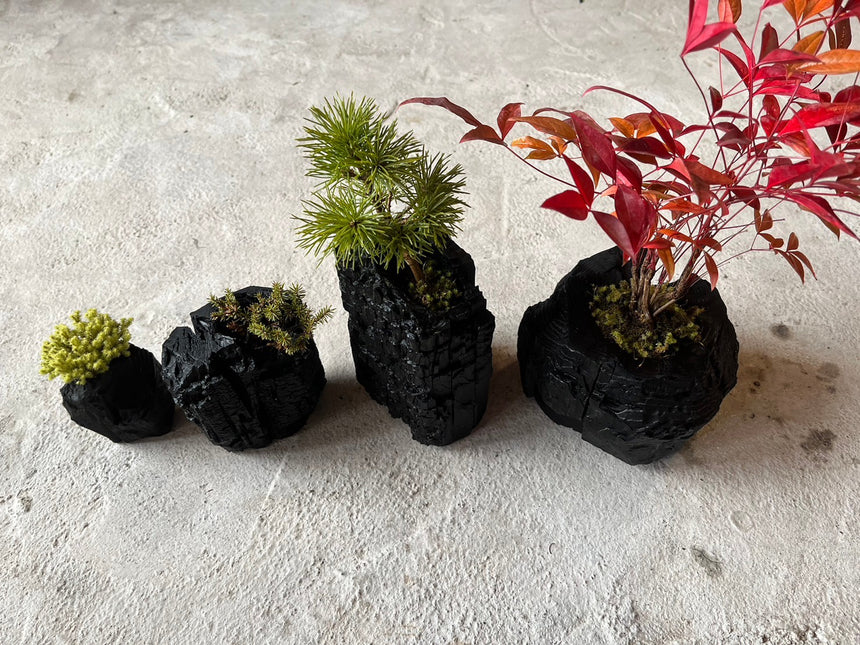 炭盆|GreenGiftOutdoorsNagano|長野県長野市信級
