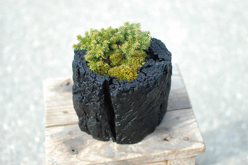 炭盆|GreenGiftOutdoorsNagano|長野県長野市信級