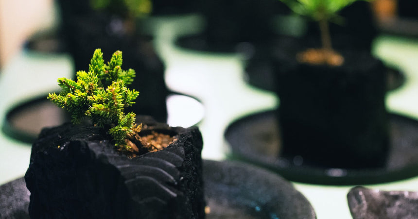 炭盆|GreenGiftOutdoorsNagano|長野県長野市信級
