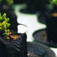 炭盆(炭POT)|GreenGiftOutdoorsNagano|長野県長野市信級