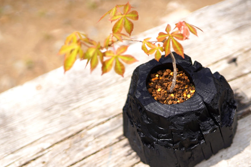 炭盆|GreenGiftOutdoorsNagano|長野県長野市信級