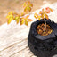 炭盆(炭POT)|GreenGiftOutdoorsNagano|長野県長野市信級