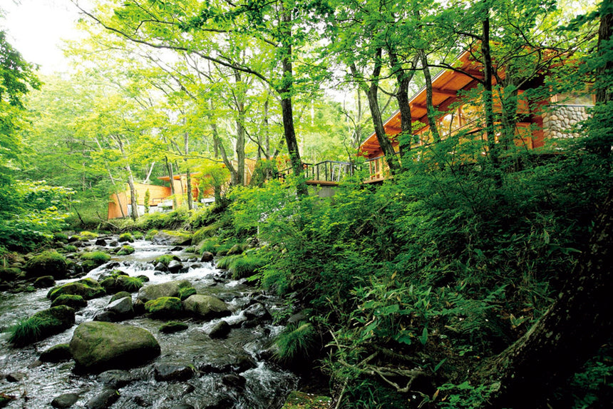 TURNS Vol.28 温泉のあるまちで暮らす-温泉あるとこ、毎日アハハン?|移住 田舎暮らし 地域活性化 地方創生