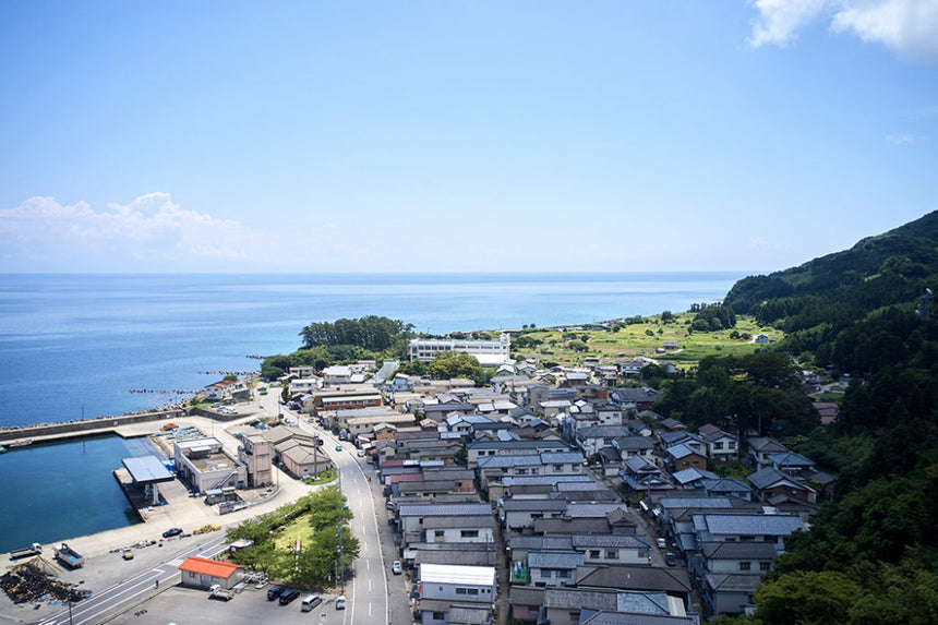 TURNS Vol.37 子供のために、移住したい|移住 田舎暮らし 地域活性化 地方創生