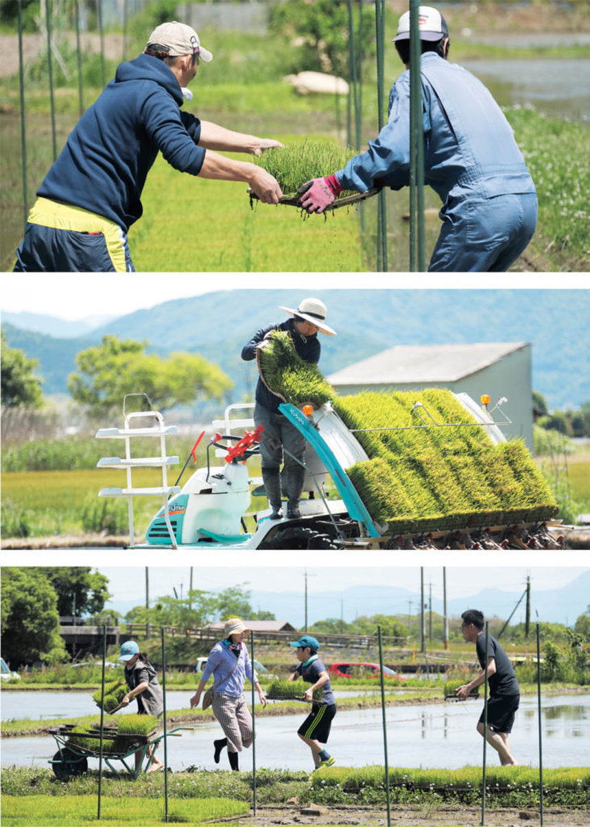 TURNS Vol.30 農業新時代|移住 田舎暮らし 地域活性化 地方創生