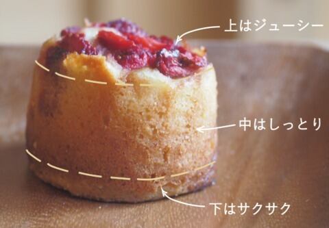 しまんと果実タルト6個入り|カゴノオト