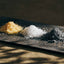 Odai Salt|Odai products|株式会社サカキL&Eワイズ、宮川森林組合