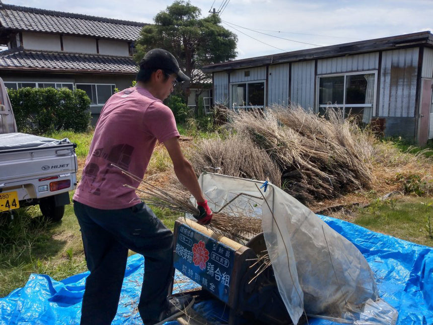 ふえふきマスタード食べ比べセット|笛吹マスタード工房