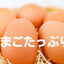 しまんと果実タルト6個入り|カゴノオト