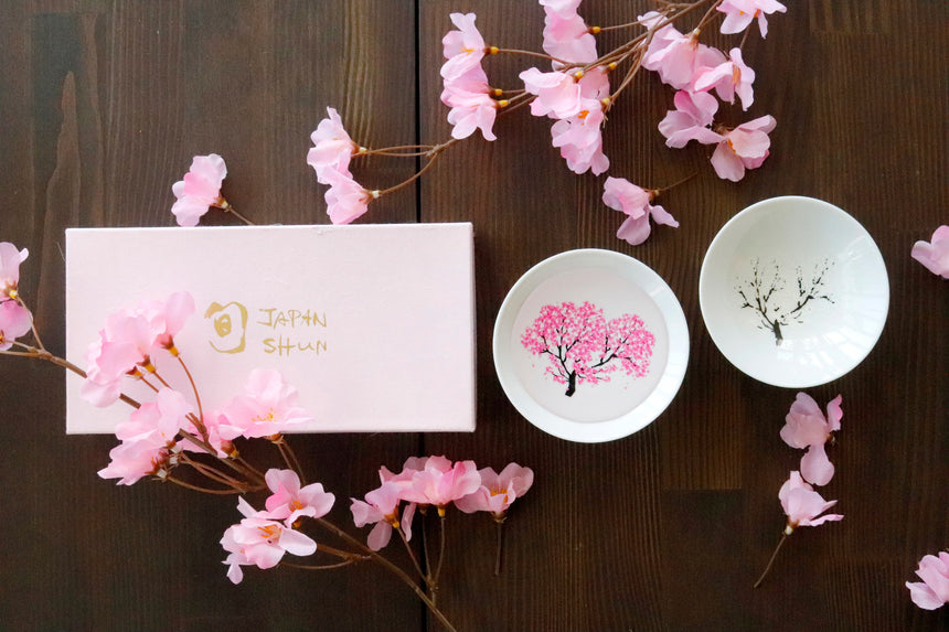 Japanese MINO ware (Minoyaki) Sake cups|Cherry Blossom,porcelain,White,Pink