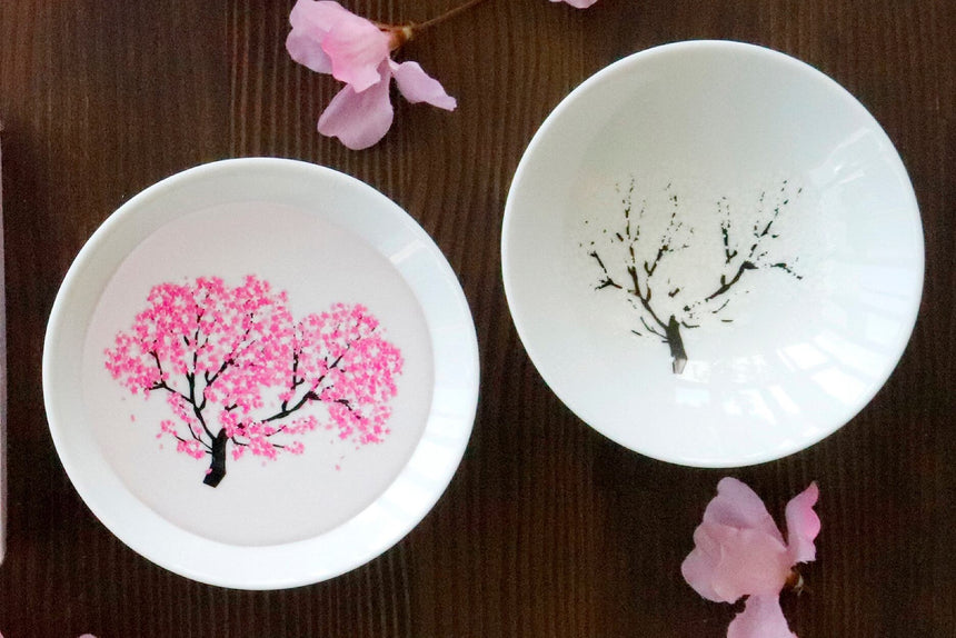 Japanese MINO ware (Minoyaki) Sake cups|Cherry Blossom,porcelain,White,Pink