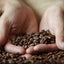 ドミニカ・プリンセサ・ワイニー・ナチュラル|50 COFFEE & ROASTERY