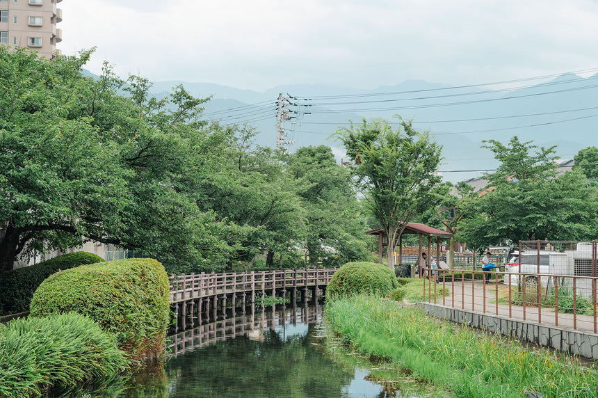 TURNS vol.48 いまこそ、地方へ あたらしい移住の手引き|移住 田舎暮らし 地域活性化 地方創生