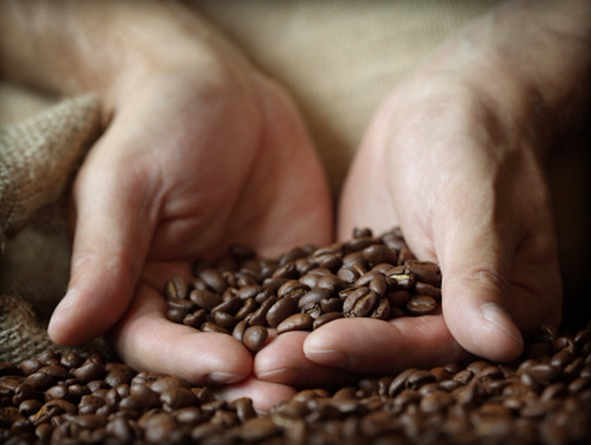 スペシャルティコーヒー3種飲み比べセット|50 COFFEE & ROASTERY