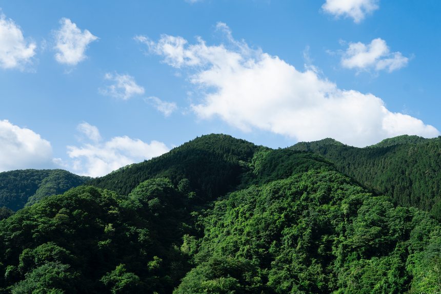 丸太の鍋敷き【樹皮なし・オイル塗装】|東京チェンソーズ