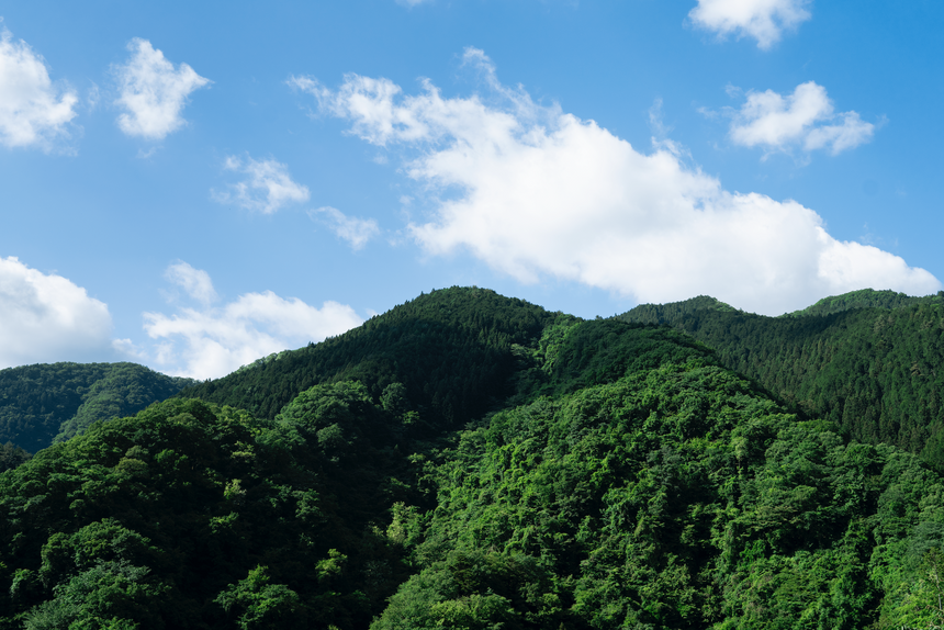 丸太の鍋敷き【樹皮なし・オイル塗装】｜東京チェンソーズ