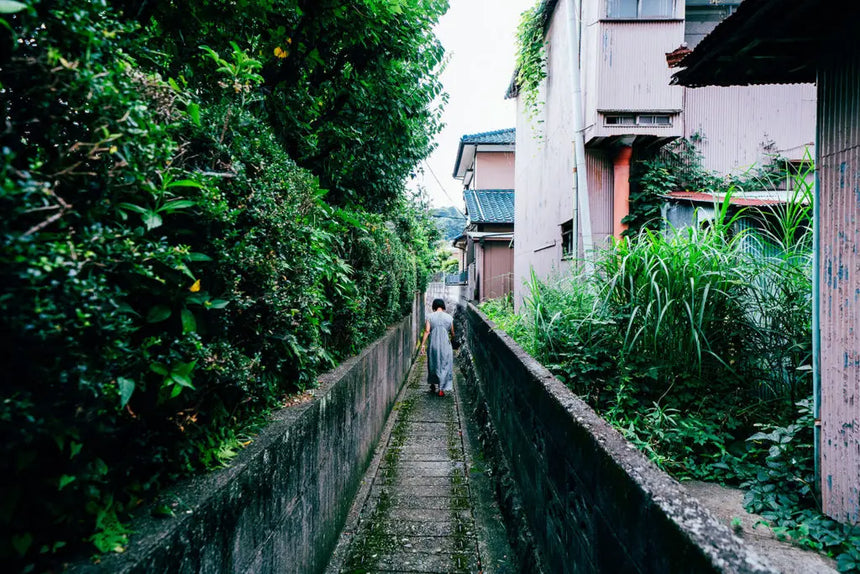 TURNS vol.54 新しい移住の地図|移住 田舎暮らし 地域活性化 地方創生 雑誌