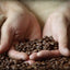 コーヒーバッグギフトセット（2種類）｜50 COFFEE & ROASTERY