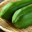 パパイア王子セレクト！宮崎県産青パパイアお試しセット「〜MIYAZAKI Green Papaya Set〜酵素の王様でより健康＆美しく」